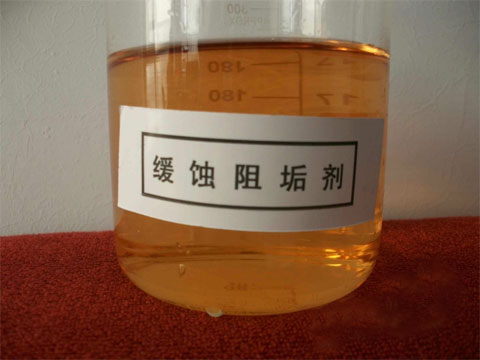 g蹸