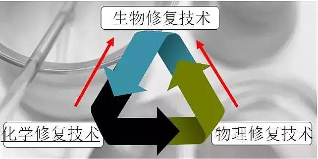 無煙煤濾料生產(chǎn)廠家公布水體修復(fù)的重量級資料