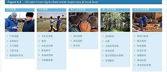 水處理濾料生產廠家稀土瓷砂濾料發布聯合國《2020年世界水發展報告》，一文了解中文版框架摘要