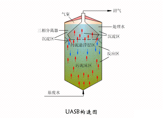 wS1.1aSUASBD