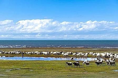 上好纖維球濾料廠家財政部下達2022年水污染防治資金預(yù)算，透露出什么信號?