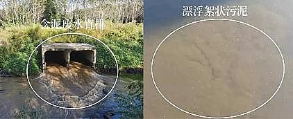 多功能非氧化型殺菌劑生產廠家中央環保督察來了，污水處理廠污泥生化系統差點癱瘓!