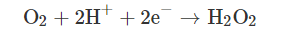 2022ɽrVϏSҏ(qing)g(sh)ĻA(ch)F(xin)δ(li)չ