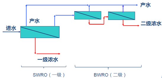 2022蹸SҷB͸OӋ-B͸gZ