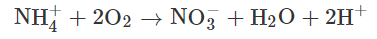 YȻXa(chn)S늻Wϵy(tng)UˮÓCӰоMչ